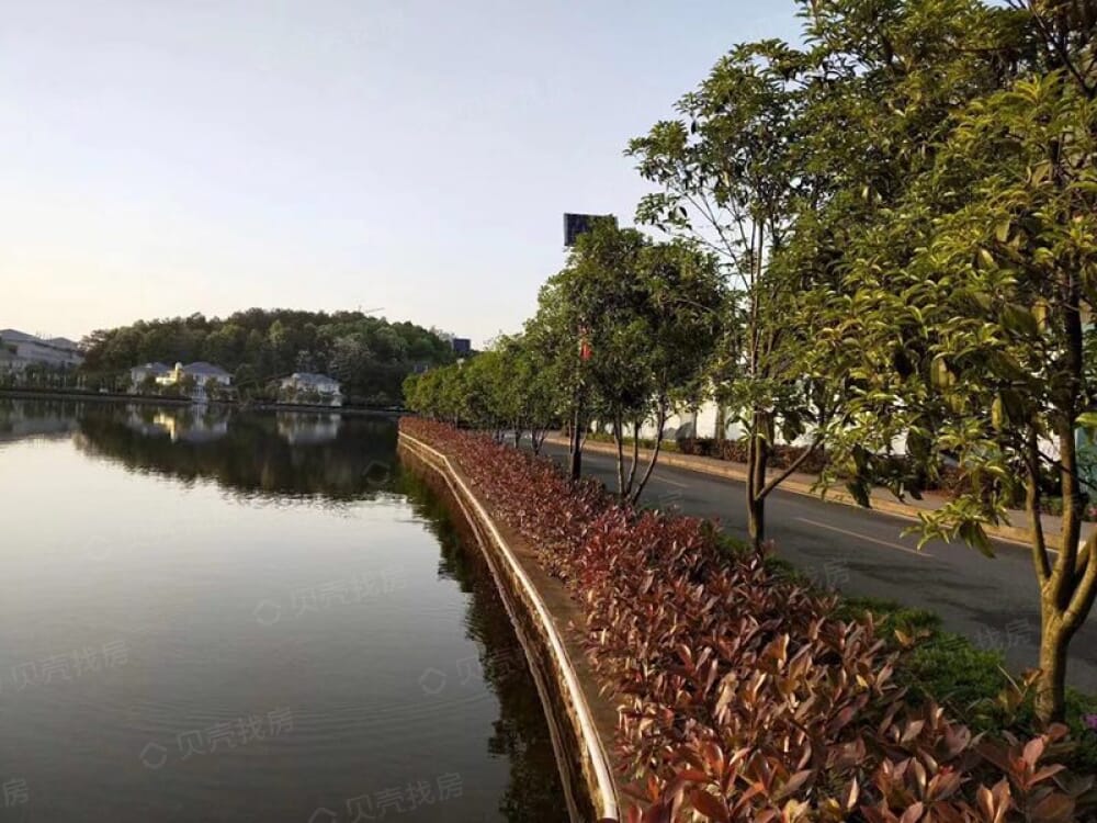 聚雄半岛实景图