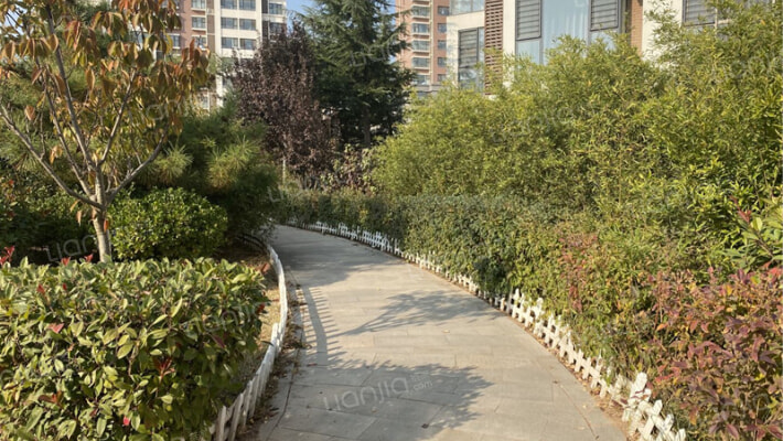 水岸人家外景图