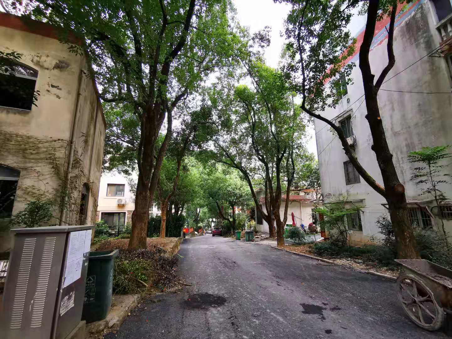 紫云山庄小区实景 19