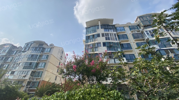 永安家园外景图