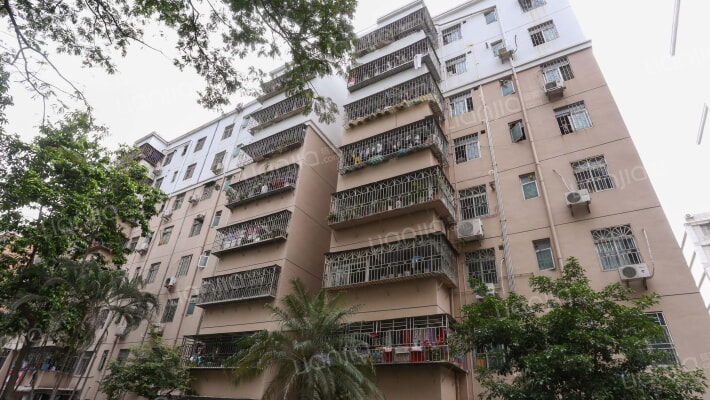 新洲花园外景图