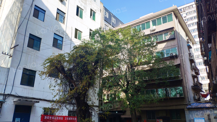 紫园小区外景图