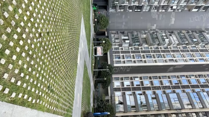 中天未来方舟D9组团外景图