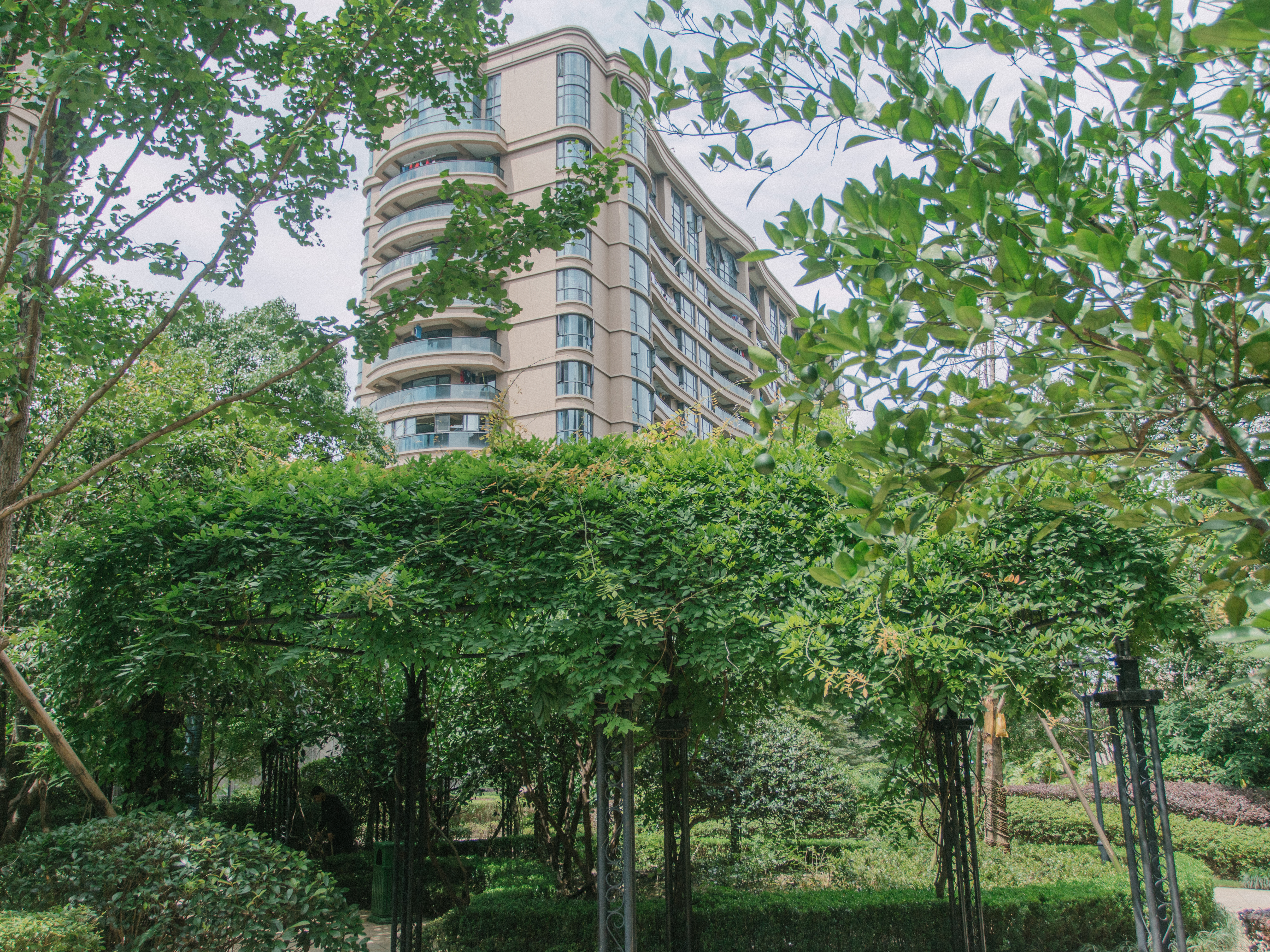 锦兰公寓小区实景 4