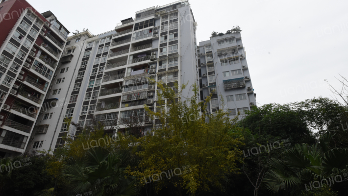 空港法院集资楼外景图