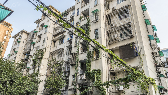 醋坊新村外景图