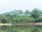 桃李春风实景图