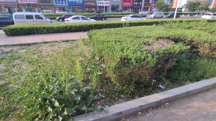 龙湖御景外景图