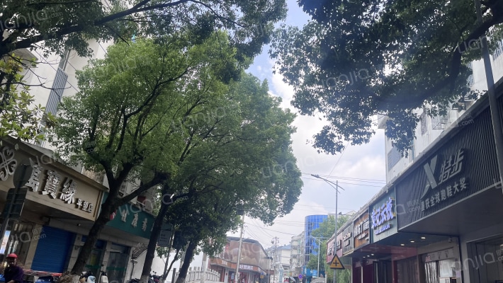黄大丰弄外景图