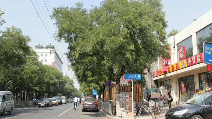 东四三条外景图