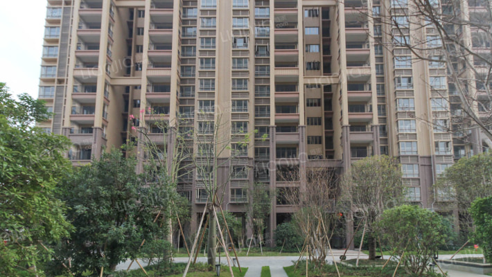 聚兴花园外景图