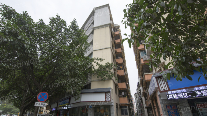 大金钟路外景图