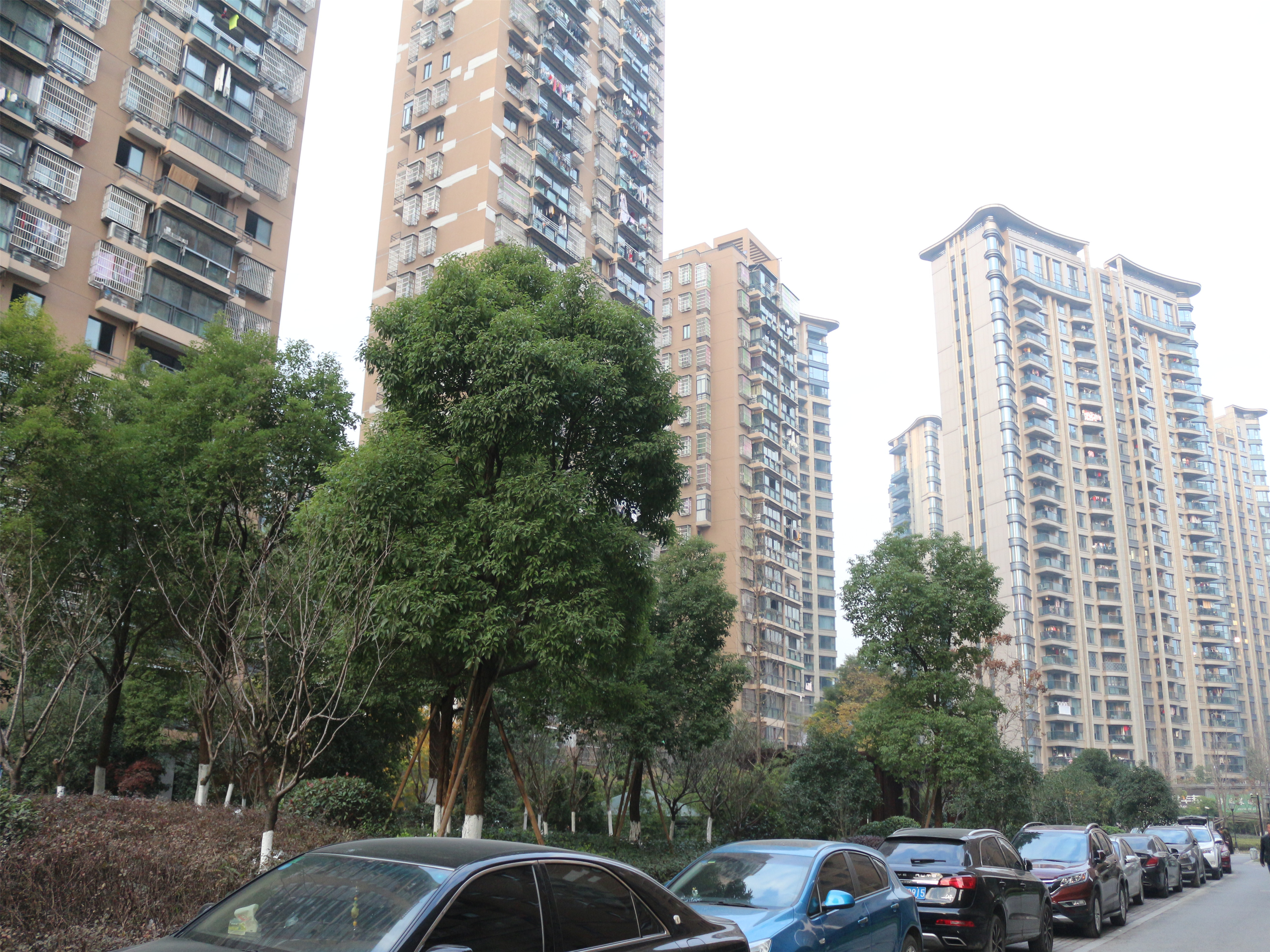 Fangjia Huayuan compound photo 17