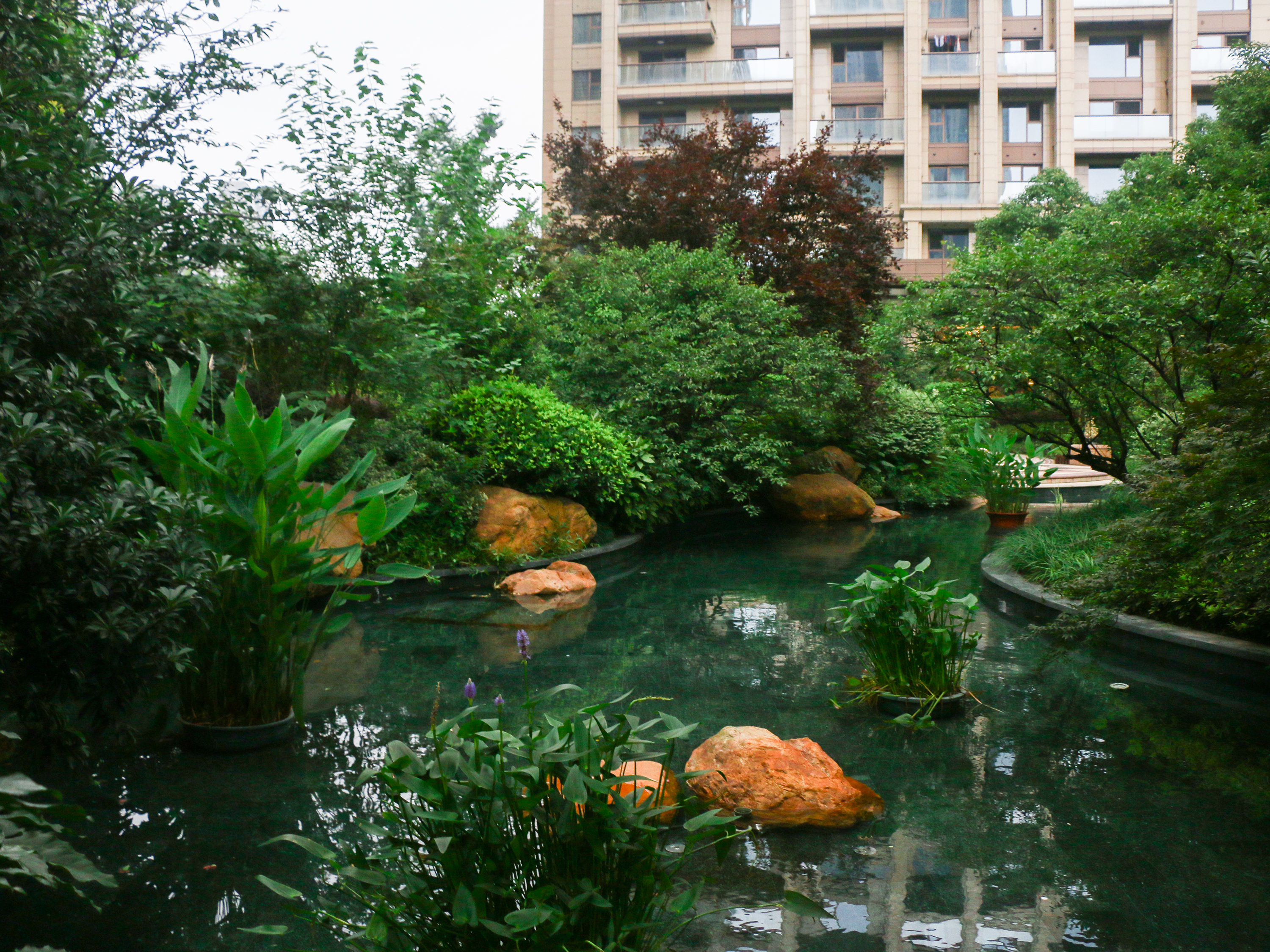 The City Star compound photo 29