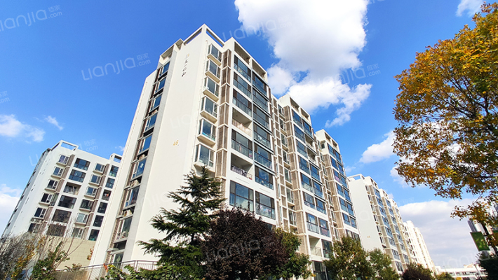 天一金色海湾外景图