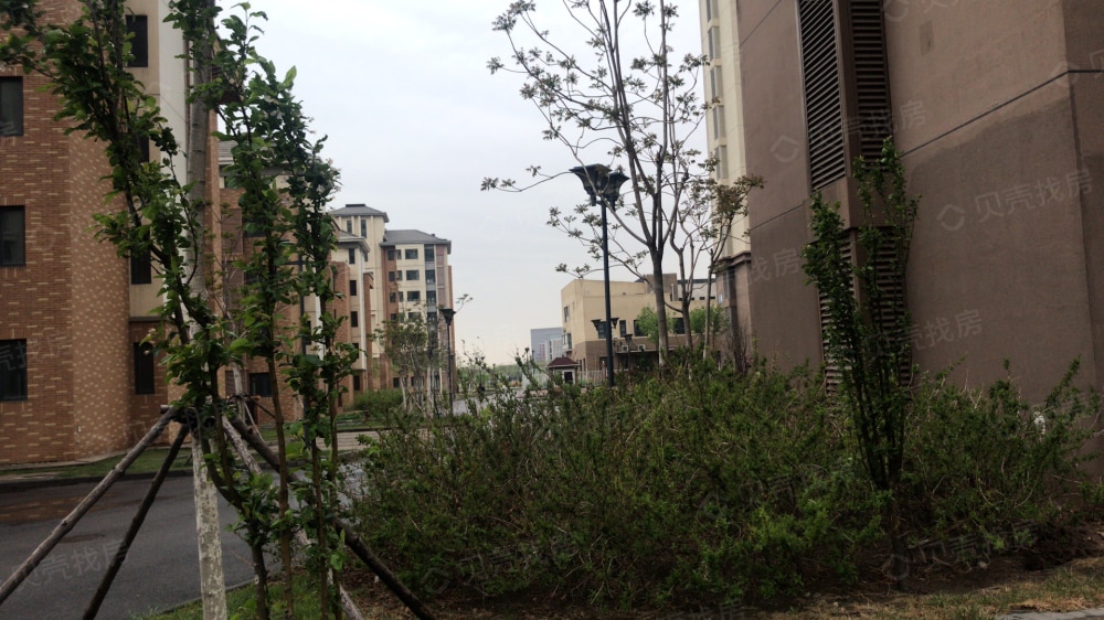 海泰海港花园相册