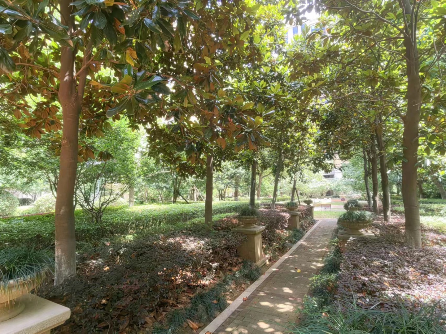 Boyue Fu compound photo 14