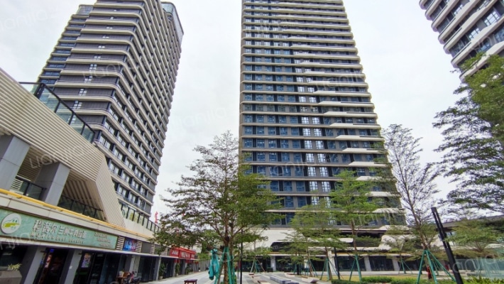 中海南航湾区国际外景图