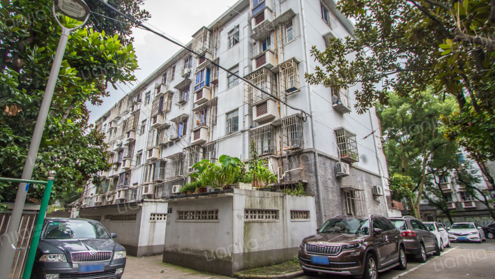 荷花二村  荷花一村 彩虹南路119弄外景图