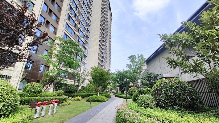 彰泰观南府外景图