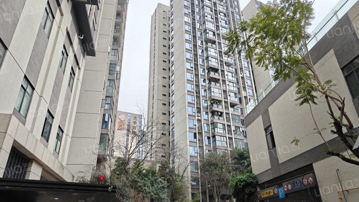 龙湖金楠时光外景图