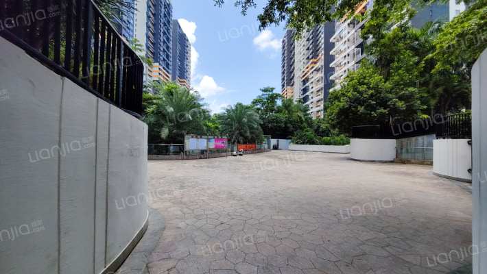 DADA的草地外景图