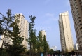 翠湖佳园北一区户型图实景图