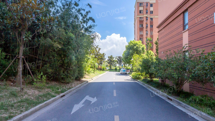 星金家园外景图