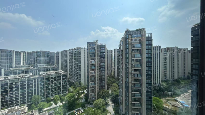 万科公园5号外景图