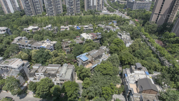 今日润园外景图