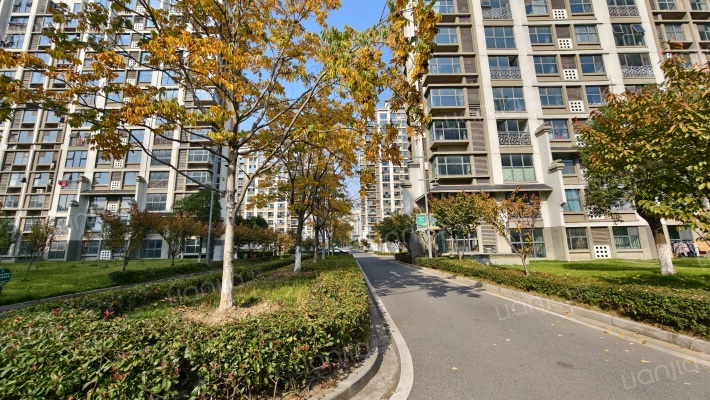 金香花苑外景图