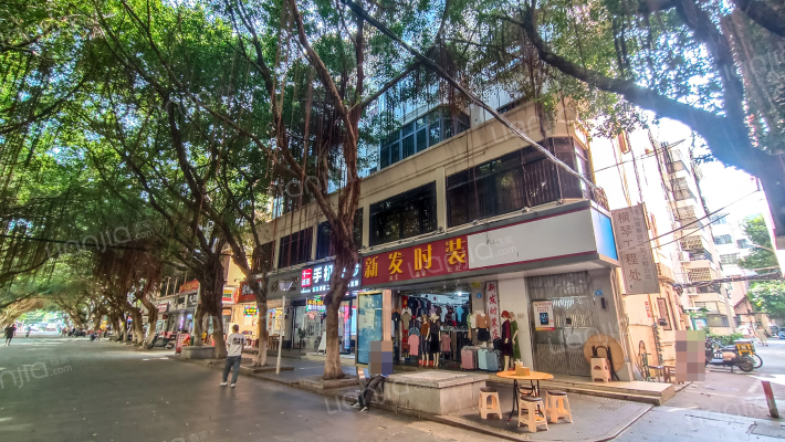 宝中路31号外景图