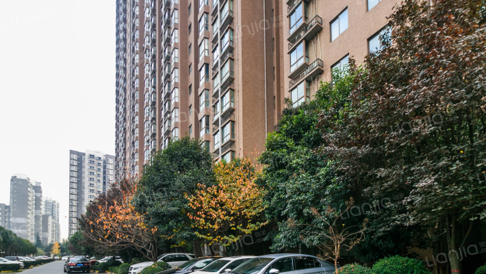 曲江观唐外景图