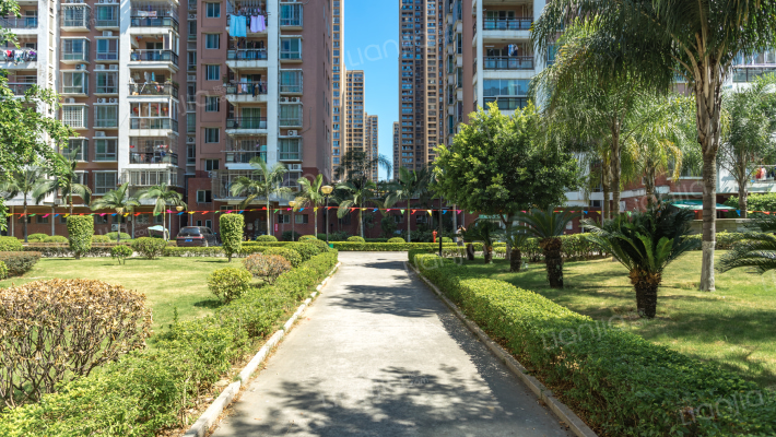 金山桔园龙苑外景图