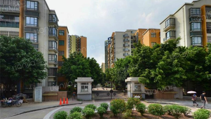 金沙洲新社区三区外景图