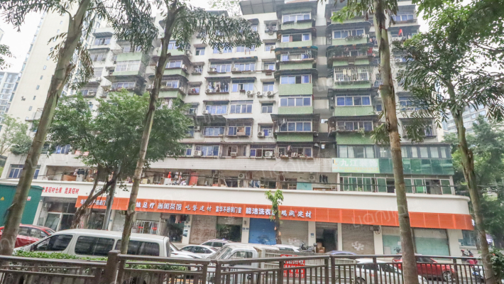 九龙八村1号外景图