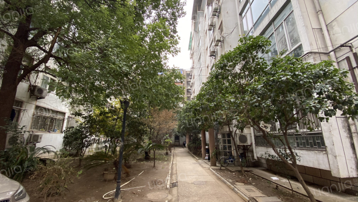 台南花园外景图