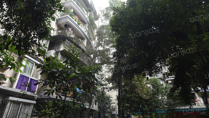 书香美地外景图