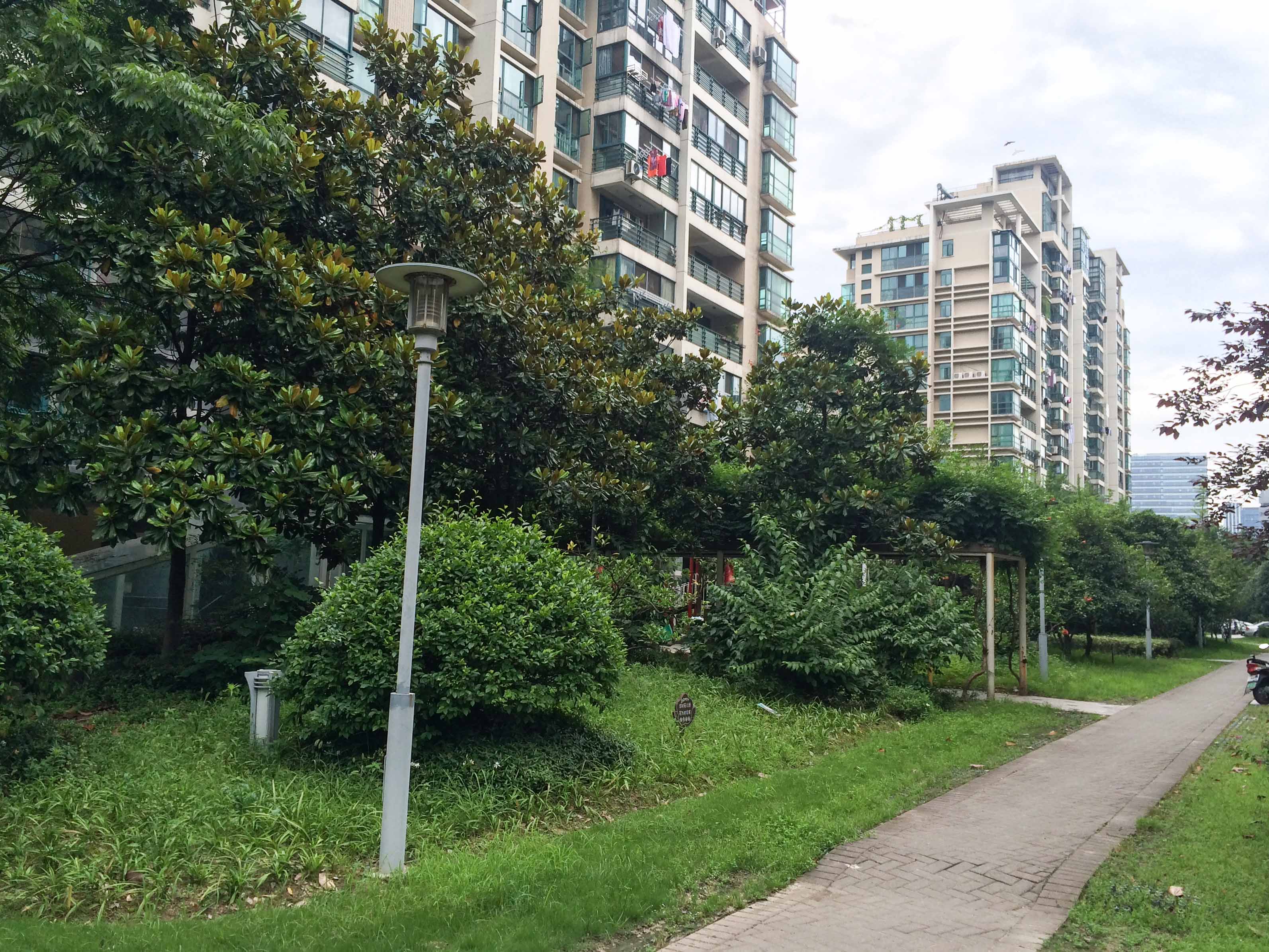 钱塘春晓小区实景 2