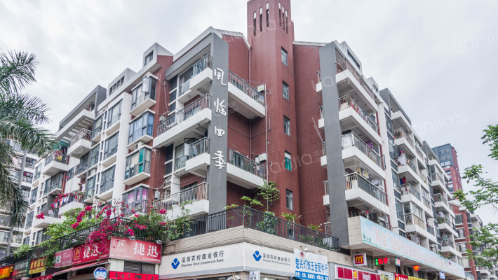 风临四季外景图