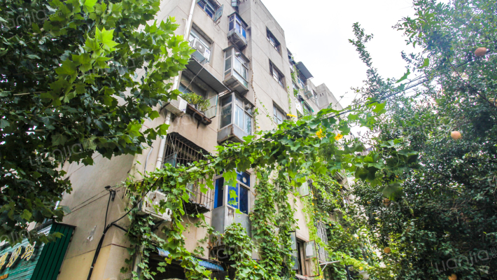 和平路70号外景图