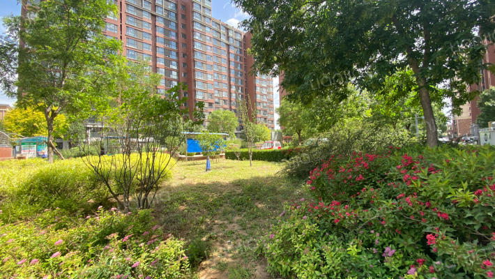 中加锦园外景图