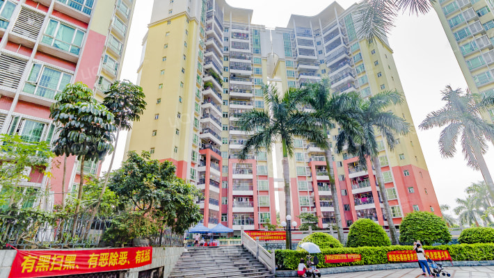 金碧华庭外景图