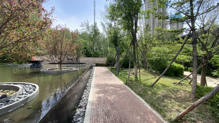 清河半岛外景图