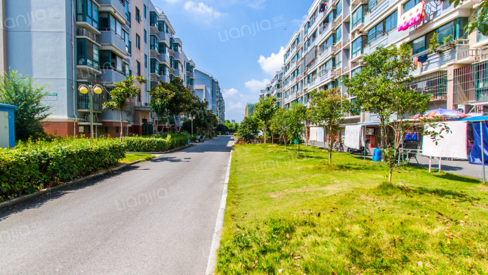 树园新苑外景图