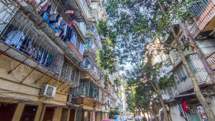 耐火厂宿舍外景图