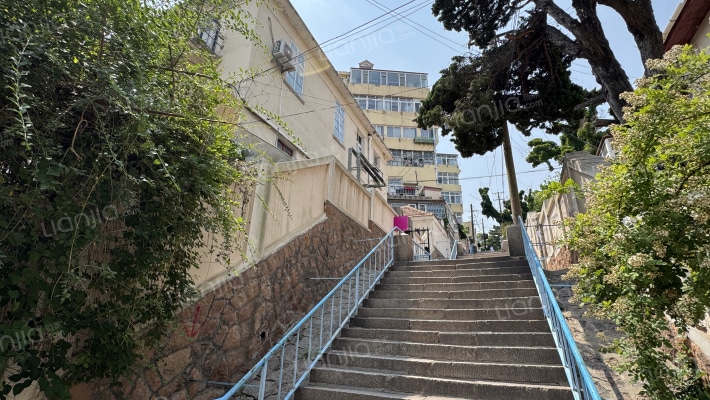 信号山支路散盘外景图