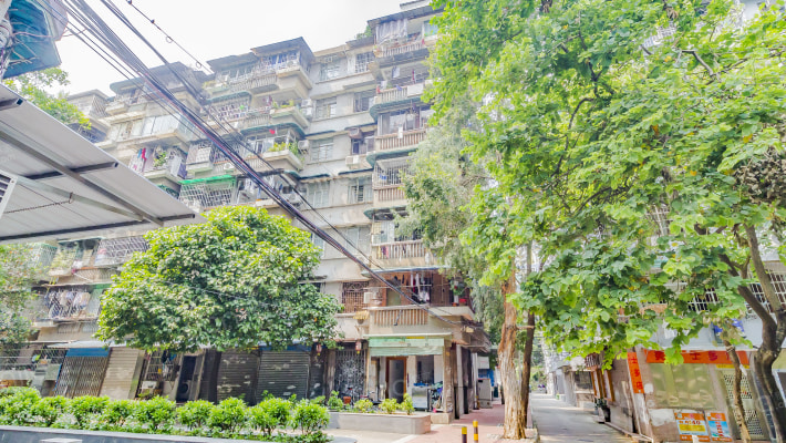 晓港东二马路外景图