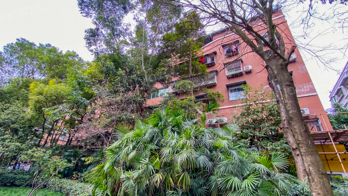 璧青北路外景图