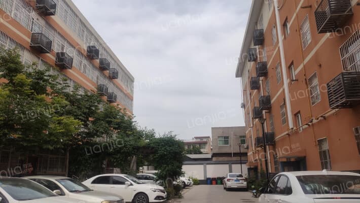 桐景小区外景图